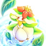 [PokeCommunity.com] Daily Chit-Chat -- Autumn and/or Spring Edition