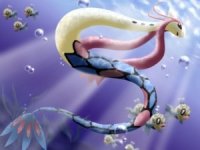 [PokeCommunity.com] The Dragon's Den V.4