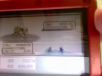 [PokeCommunity.com] Your first shiny