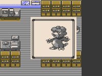 [PokeCommunity.com] Pokemon Neo Crystal adventure