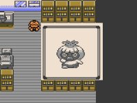 Pokemon Neo Crystal adventure