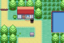 Pokemon Crystal Dust_04.png