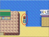 [PokeCommunity.com] [Essentials v16.2+] Water Bubble