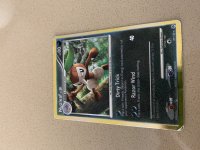 [PokeCommunity.com] WHAT IS THIS CARD??????