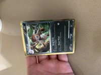 [PokeCommunity.com] WHAT IS THIS CARD??????
