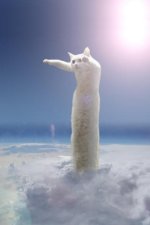 [PokeCommunity.com] Do you know where is Gigantamax Meowth coming from?