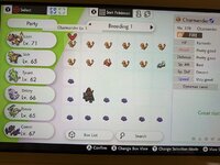 [PokeCommunity.com] Lots of Charmanders for trade!