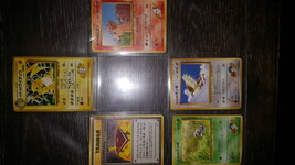 [PokeCommunity.com] Hey there. I found 24 year old cards.
