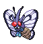 Buttermoth.png