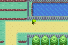 [PokeCommunity.com] Pokémon Insect Lime Version (Bug Monotype + Improvement Hack For Fire Red)