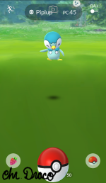 community day shiny piplup (1).png