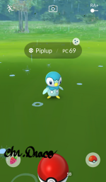 community day shiny piplup (2).png