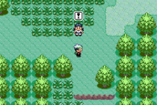 [PokeCommunity.com] Some Problems about Pre-battle mugshot routine