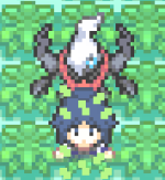 [PokeCommunity.com] [SOLVED] How can I solve the grass animation "bug"?