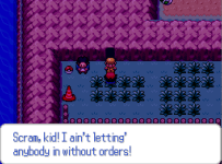 [PokeCommunity.com] Pokémon: Best Wishes Edition (Castelia City, Nimbasa City Update!)