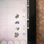 [PokeCommunity.com] LF: Shiny pelliper or wingull FT: Shiny