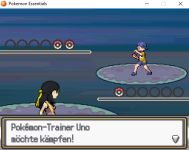 Name of Trainer Type does not show correctly on Battle Screen!