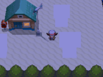 [PokeCommunity.com] Custom Textures showing up as white in game (HGSS)