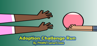 The Adoption Challenge run