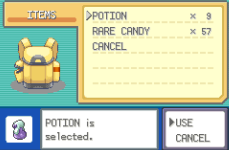 [PokeCommunity.com] Problem with items not having an effect
