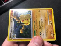 [PokeCommunity.com] "What is this? Is it fake? How much is it worth?" Thread