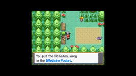 [PokeCommunity.com] Pokemon Pathways (1/19/25: Alpha 9.1.3)