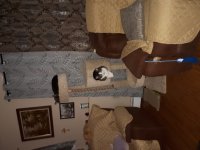 [PokeCommunity.com] =^w^= The Litter Box =^w^= (a cat lovers club)
