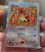 Cannot find exact version of card