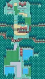 Route204_result.png