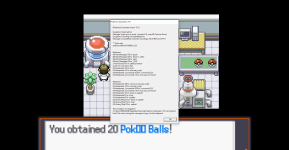 [PokeCommunity.com] An error with my Items