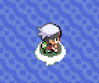 [PokeCommunity.com] Surf Blob Palette issues