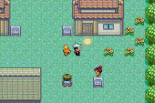 [PokeCommunity.com] Affine Animation Mirroring