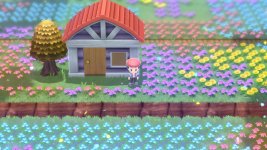 [PokeCommunity.com] Pokemon Spot the Difference