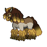 [PokeCommunity.com] V19.1 EBDX shinies and icons for different forms not working