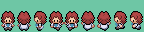 Pokemon Emerald Overworld Sprites