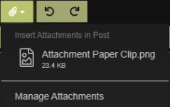 Attachment Paper Clip 2.png