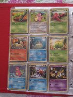 [PokeCommunity.com] Pokemon card 1