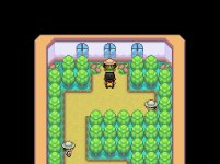 [PokeCommunity.com] Pokémon: Dregs Demo Version 2.0 is complete!