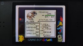 [PokeCommunity.com] Shin Pokemon Red/Blue/Green/JP builds (Bugfix, AI, and QoL patch)