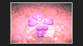 [PokeCommunity.com] Pokemon Spot the Difference