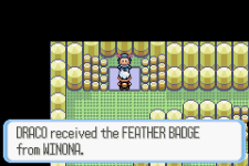 [PokeCommunity.com] Divine Offering - GT Pokémon Challenge