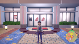 [PokeCommunity.com] Weird game design choices that bother me
