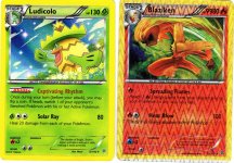 [PokeCommunity.com] Blaziken hp9980