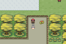 Pokémon Gaia Version