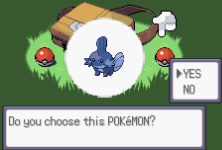 Pokemon Shadow Emerald