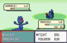 Pokemon Shadow Emerald