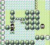 route14.png
