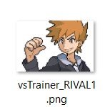 How do vs trainer battles get their assets in order to show up?