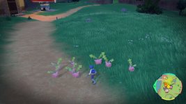 [PokeCommunity.com] Pokemon Spot the Difference