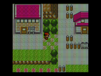 [PokeCommunity.com] Pokémon Red - Kanto Enhanced (Gen 1 ROM hack looking to Recruit!)